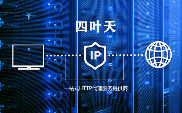 【五指山代理IP】使用代理IP遇到的常见问题汇总