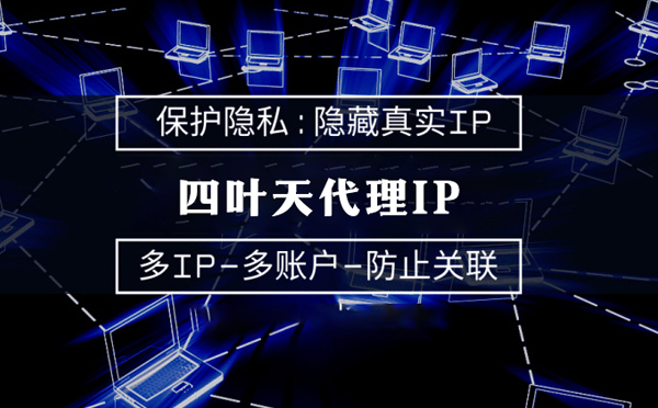 【五指山代理IP】服务器代理ip如何选择？如何挑选服务器代理商